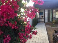 Calle la Higuerilla Colina